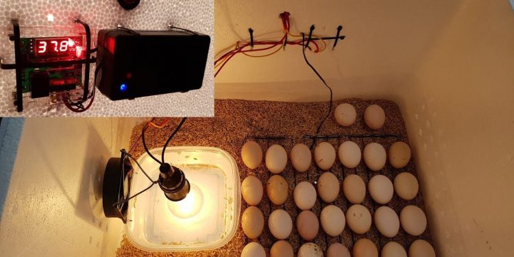Cách làm máy ấp trứng