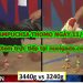 đá gà Campuchia Kinh Điển