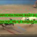video chọi gà Casino