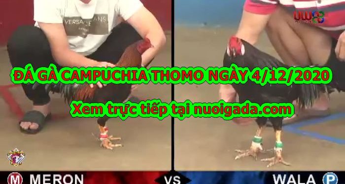 Trực tiếp đá gà Bồ 67