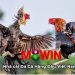 đá gà M8Winvnn.com