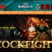 Nhà Cái M8win tặng Giftcode 50K – 150k cho Thành Viên