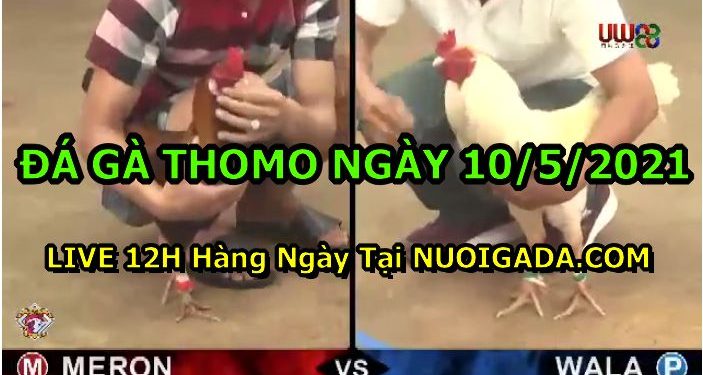 đá gà 10/5/2021