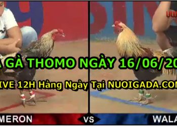 daga-th6-2021-16
