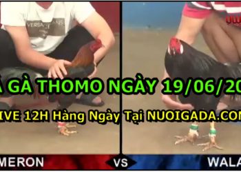 daga-th6-2021-19