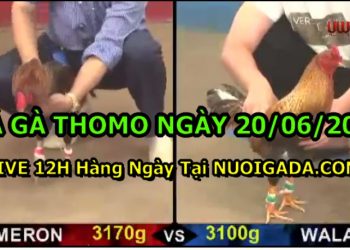 daga-th6-2021-20