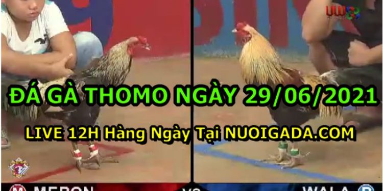 daga-th6-2021-29