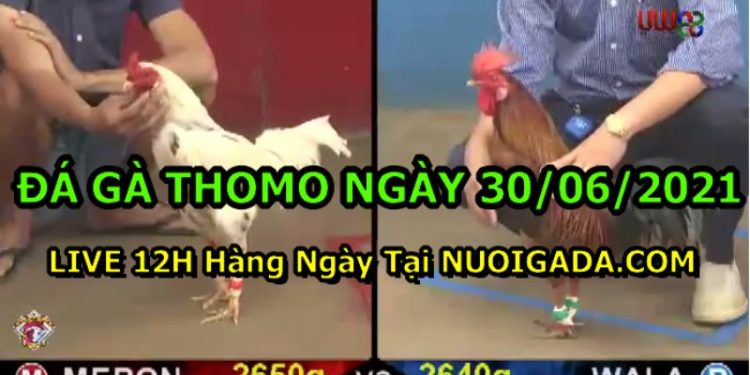 daga-th6-2021-30