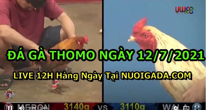 daga-th7-2021-12