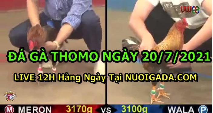 daga-th7-2021-20