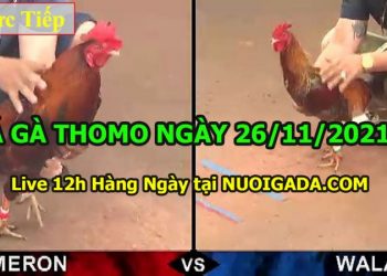 daga-t11-26
