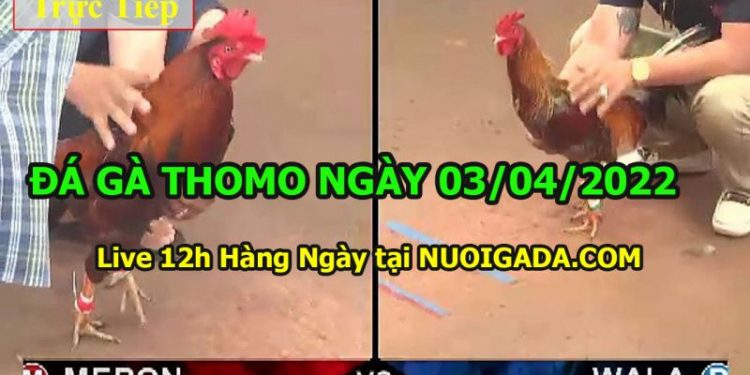 daga-t4-3