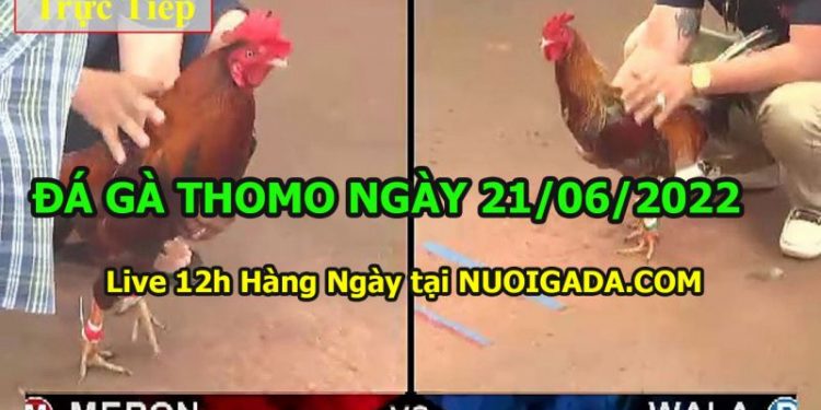daga-t6-21