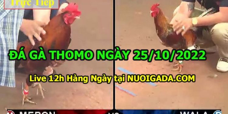 daga-t10-25