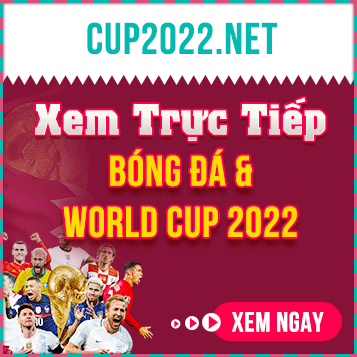 world Cup 2022