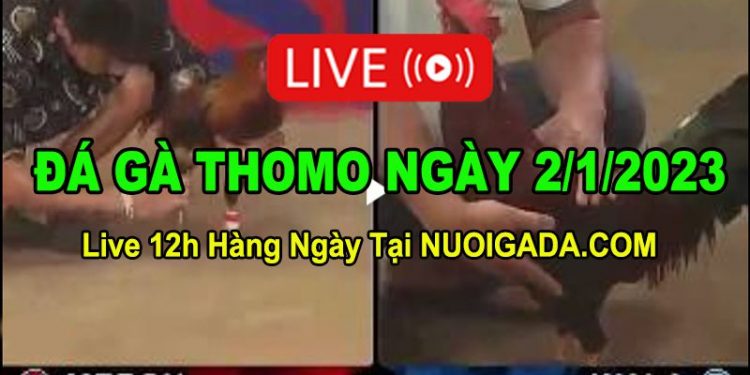 Đá gà Campuchia 2/1/2023