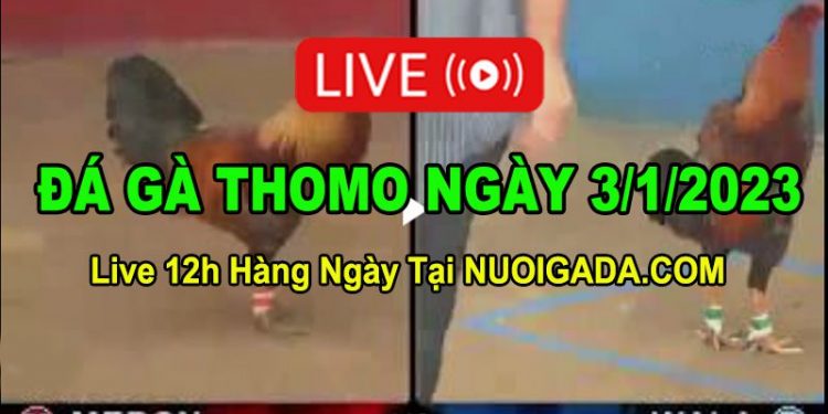 Đá gà Campuchia 3/1/2023