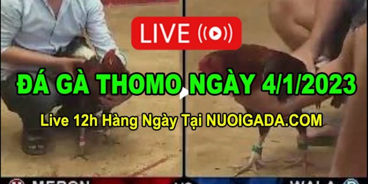 Đá gà Campuchia 4/1/2023