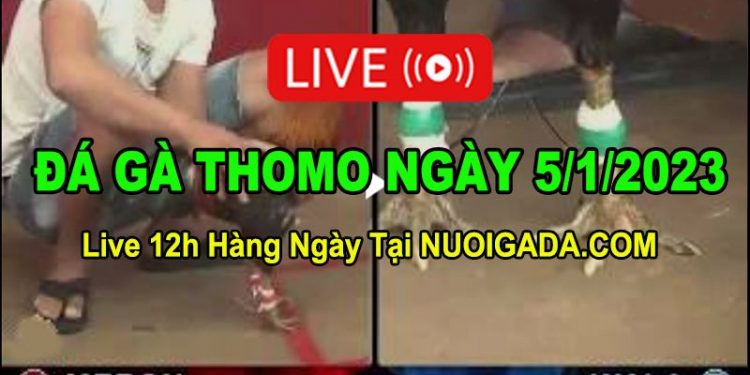 Đá gà Campuchia 5/1/2023