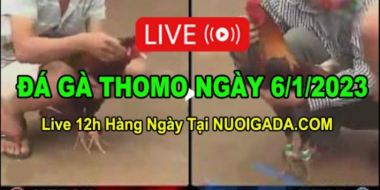 Đá gà Campuchia 6/1/2023