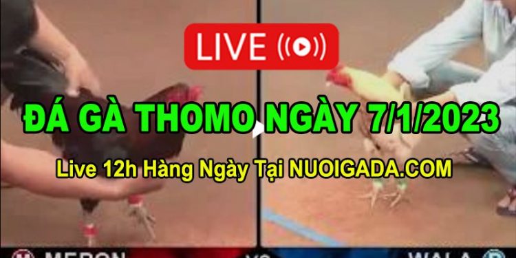Đá gà Campuchia 7/1/2023