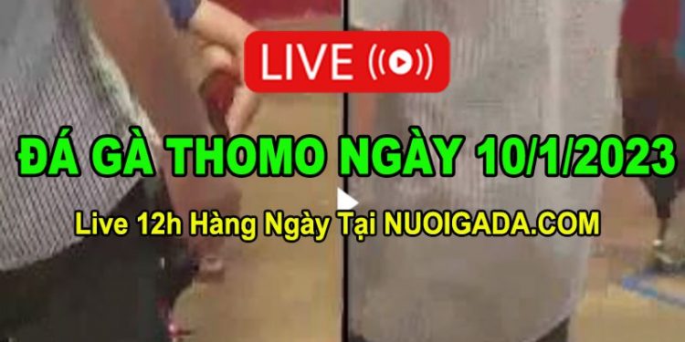 Đá gà Campuchia 10/1/2023