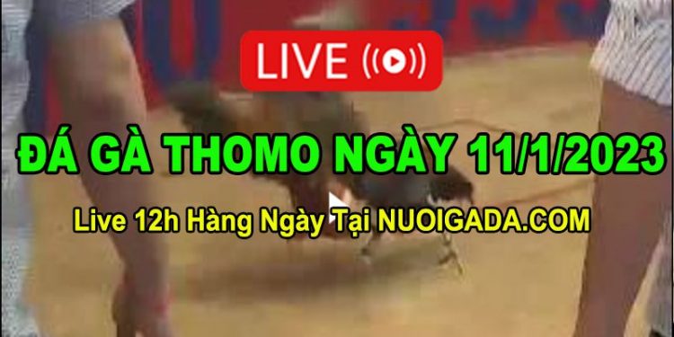 Đá gà Campuchia 11/1/2023