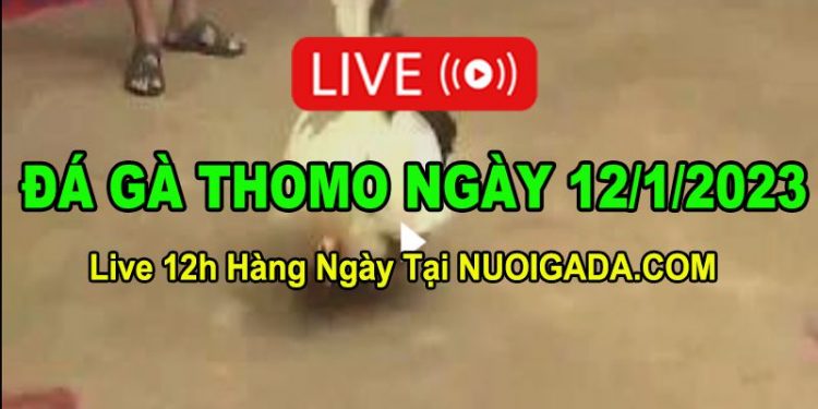 Đá gà Campuchia 12/1/2023