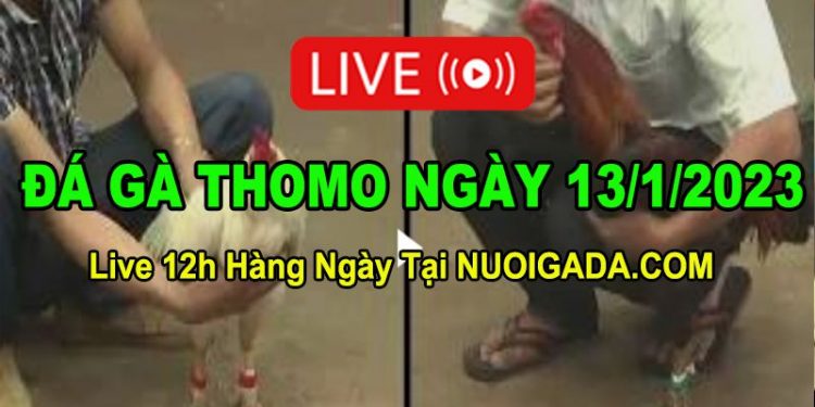 Đá gà Campuchia 13/1/2023