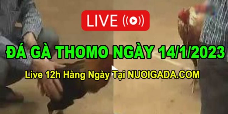 Đá gà Campuchia 14/1/2023