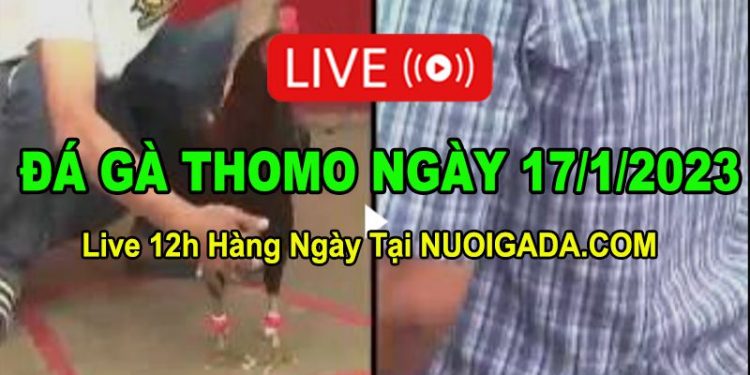 Đá gà Campuchia 17/1/2023