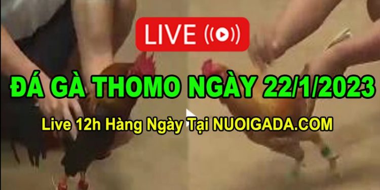 Đá gà Campuchia 22/1/2023