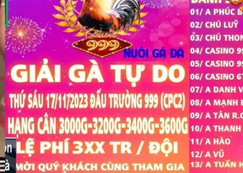 da ga truc tiep giai 17-11-2023
