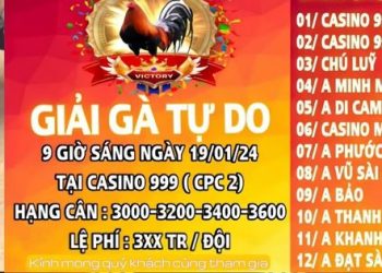 giai-ga-tu-do-cpc2-19-1-2024