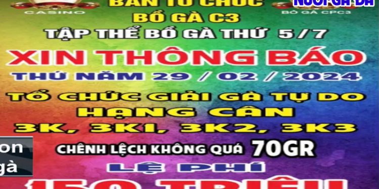 Trực tiếp giải đá gà Tự do bồ C3 29/2/2024