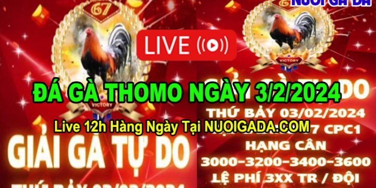 Giải đá gà tự do Thomo Campuchia 3/2/2024