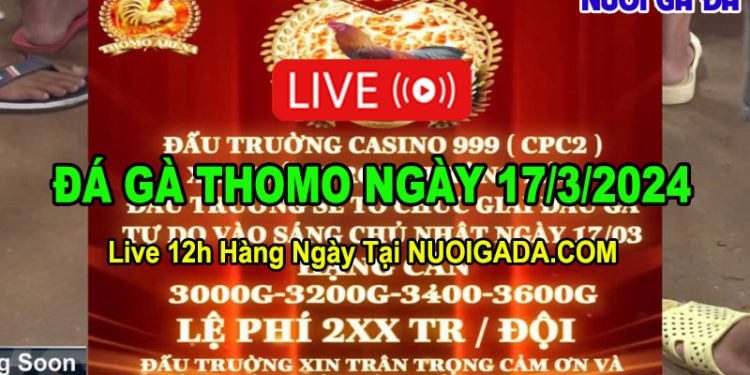 Trực tiếp giải đá gà tự do CPC2 mới nhất 17/3/2024