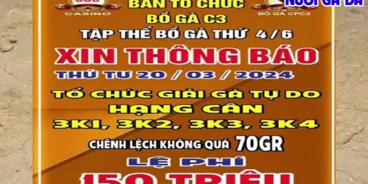 Giải đá gà tự do ngày 20/3/2024