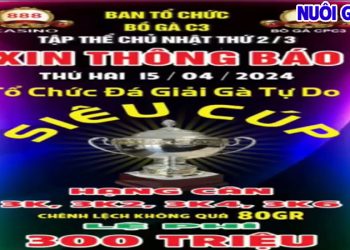 Full giải đá gà tự do Siêu Cúp CPC3 Campuchia 15/4/2024