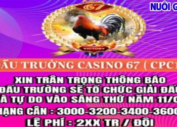 Giải đá gà tự do CPC3 Full 11/4/2024