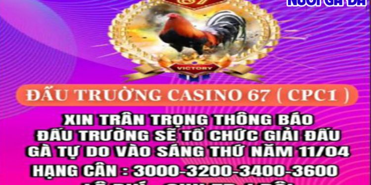 Giải đá gà tự do CPC3 Full 11/4/2024