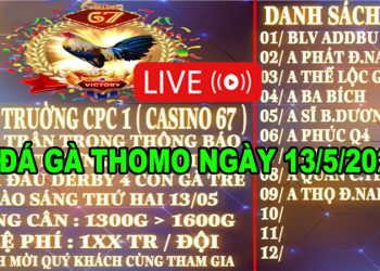 Full Giải Derby 4 con gà tre Casino 67 ngày 13/5/2024