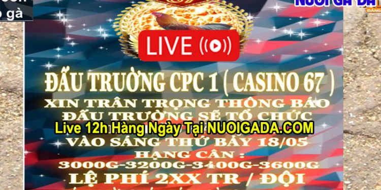 Giải đá gà tự do Casino 67 Thomo ngày 18/5/2024