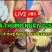 Clip đá gà Thomo Cpc3 mới nhất 22/5/2024