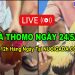 Live đá gà trực tuyến Thomo CPC3 24/5/2024