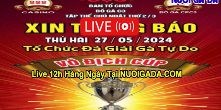 Full giải đá gà tự do CPC3 Casino Thomo 27/5/2024