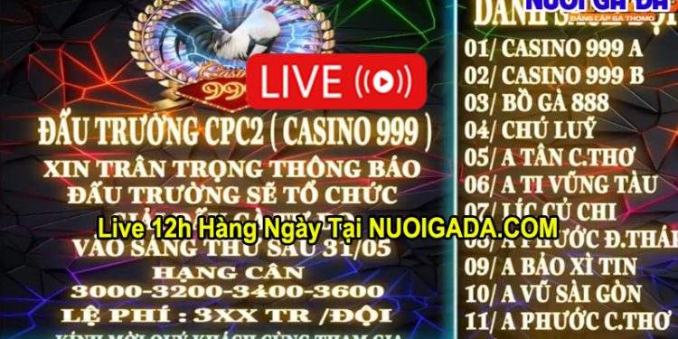 Trực tiếp giải đá gà Tự do Casino 999 31/5/2024