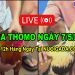 Đá gà cựa sắt Live CPC3 Thomo 7/5/2024