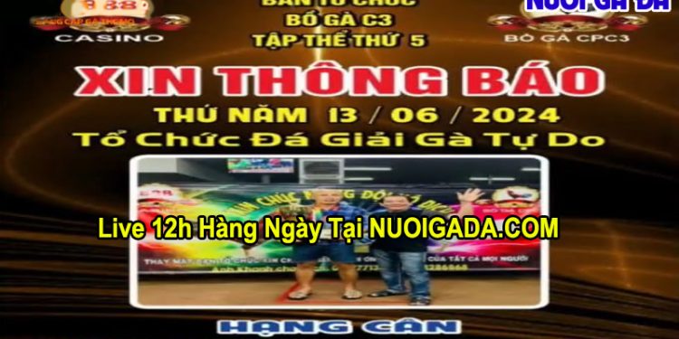 Clip Giải đá gà Tự do CPC3 trực tuyến chất lượng cao ngày 13/6/2024