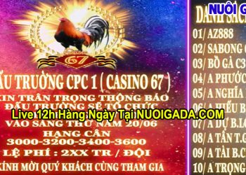 Giải đá gà tự do CPC3 ngày 20/6/2024